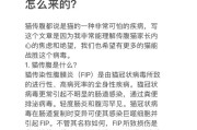 以猫传腹的奇特现象（探秘猫科动物中独特的遗传方式）