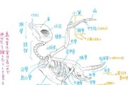白蓝特短鲷的饲养方法（科学养殖，健康成长）