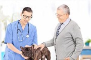 高龄犬特别护理（高龄犬的身体状况和护理要点）