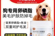为什么泰迪狗狗的毛发会变得软？（探究影响泰迪狗狗毛发软的因素及解决方法）
