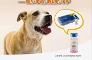 母狗配种成功后多久能生育？（了解母狗配种后的怀孕周期和分娩时间）