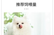 以博美犬所需用具（打造舒适生活环境的必备物品）
