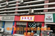 以太原宠物店狗狗热销，多个品种任您选择（探寻以太原市区内最受欢迎的宠物店，为您提供高品质的狗狗）
