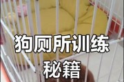 狗狗尿意有多强？剖析它们能憋多久尿的关键因素（探究狗狗尿意的影响因素以及如何正确引导它们排尿）