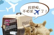 如何顺利托运猫咪进行长途旅行（寻找专业宠物托运公司，确保安全舒适）