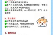 揭秘狗狗喜欢乱咬东西和不能吃咸的原因（探寻狗狗的咬咬癖和适口性）