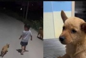 狗的天敌？探索哪些狗会咬蛇（揭秘狗类保护主人的“英雄行为”）
