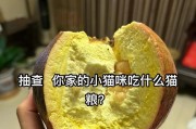 小猫如何通过饮食调节增加体重（营养均衡的饮食是增加小猫体重的关键）