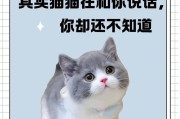 猫为什么一直叫？（探究猫咪叫声背后的原因和含义）