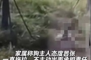 狗类对人类的潜在危害（了解狗类的行为与风险，保护自身安全）