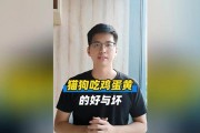 宠物狗不可食用的物品（狗狗的健康饮食禁忌，宠物主人必读！）
