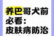 以巴哥犬常见疾病大揭秘（了解以巴哥犬的健康问题，为它们提供更好的护理）