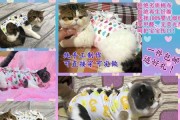 小狗断奶时间的选择（以宠物为主的健康成长关键）