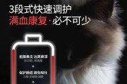 猫鼻子发现黑色东西？这可能是什么？（了解猫鼻子上的黑色物质及处理方法）