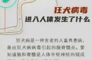 以狗疫苗预防疾病——保护你的宠物健康（狗疫苗的重要性及常见疾病防治措施）