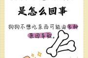 狗狗为什么一天都不吃东西？（探寻狗狗拒食的原因及解决方法）