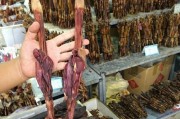 研究发现吃狗肉对人体有益身体健康的作用（解读吃狗肉对人体的积极影响，拓宽食物选择领域）