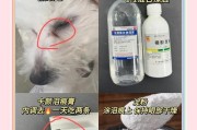 如何有效去除狗狗的泪痕？（掌握正确的方法，让狗狗的美丽眼睛再现光彩）