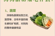 狗的饮食需要根据体型和年龄来决定（探索适合不同体型和年龄的狗的饮食需求和建议）