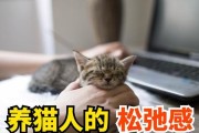 为什么猫不喜欢人抱？（探寻猫咪不喜欢被人抱的原因）