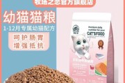 如何给刚买的幼猫提供健康饮食（了解幼猫的饮食需求，合理安排营养摄入）