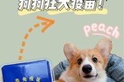 小狗疫苗为什么打三次？（探究小狗疫苗三次接种的重要性和原因）