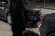 金毛生黑色的原因解析（探秘金毛身上黑色基因的奥秘）