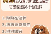 狗抽筋的原因及预防方法（探讨狗抽筋现象，解析原因与预防措施）