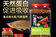银龙鱼喂养面包虫的时间周期及注意事项（面包虫喂养银龙鱼的最佳频率与方法）