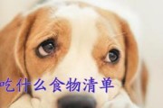 打了狗针后的饮食禁忌（了解狗针注射后的饮食注意事项，让宠物更健康）
