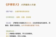 喂养萨摩耶的注意事项（养萨摩耶要注意哪些问题？）