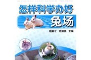 兔场消毒技术（科学消毒，预防疾病传播）