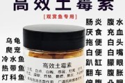 狗怀孕期间不能使用的消炎药物（了解狗的怀孕期和药物禁忌，守护母犬健康）