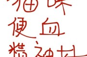 猫咪便血处理方法及肠胃问题预防（掌握这些方法预防肠胃问题！以猫咪便血了怎么处理呢？）