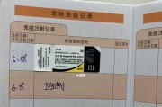 托运宠物的必备疫苗（为宠物旅行提供全面的保护）