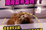 猫咪的怀孕周期有多长？（探讨猫咪怀孕时间及相关因素）