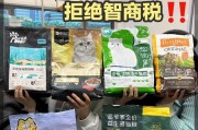 幼猫的饮食需求及养护指南（为新铲屎官的幼猫喂养提供全面指南）