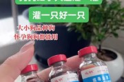 狗细小的潜伏期有多久？（探究狗细小病毒的潜伏期以及如何预防传染）