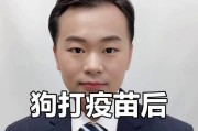 两个月大的狗打完疫苗后什么时候可以洗澡？（洗澡时间安排与注意事项）