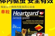 狗狗驱虫攻略（了解狗狗体内驱虫的必要性及方法）