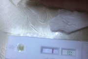 健康外观下的细小之谜（揭秘患有细小的“健康”狗狗，）