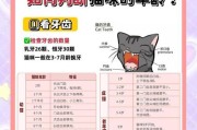 猫咪的年龄阶段及如何照顾它们（了解猫咪不同年龄阶段的需求，打造快乐健康的生活）