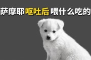 以萨摩不吃不喝的奇特情况（探寻以萨摩不进食的原因与影响力）