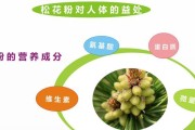 白头鹎的饲养方法（科学养殖，培养健康小鸟）