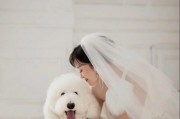 贵宾犬的长白毛之谜（揭秘贵宾犬长白毛的形成原因及特点）
