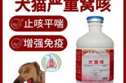 泰迪咳嗽想吐应该怎么办？（了解症状及正确用药是关键）
