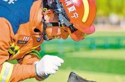 世界上常见的以搜救犬为主要品种（这些犬种在搜救工作中发挥着重要的作用）