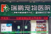 关于狗狗阉掉的注意事项（宠物狗狗绝育的必要性和注意事项）
