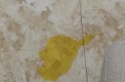 揭秘狗狗呕血的原因与应对措施（了解狗狗呕血的种类与症状，避免不必要的恐慌）