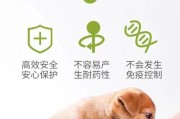 小狗频繁呕吐，如何选择合适的药物？（药物治疗小狗呕吐的好处及注意事项）